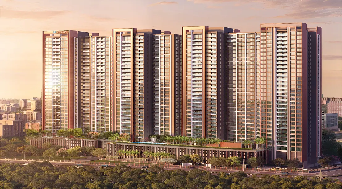 TVS Emeral Auralis Overview 2